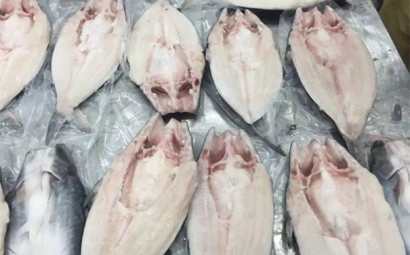 了解！進口越南巴沙魚代理報關(guān)報檢流程