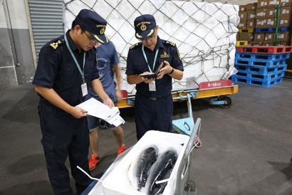 日本到杭州進口冰鮮金槍魚代理清關(guān)公司案例