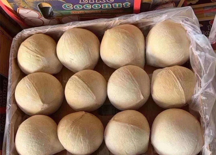 進(jìn)口新鮮椰子報(bào)關(guān) 進(jìn)口新鮮椰子報(bào)關(guān)