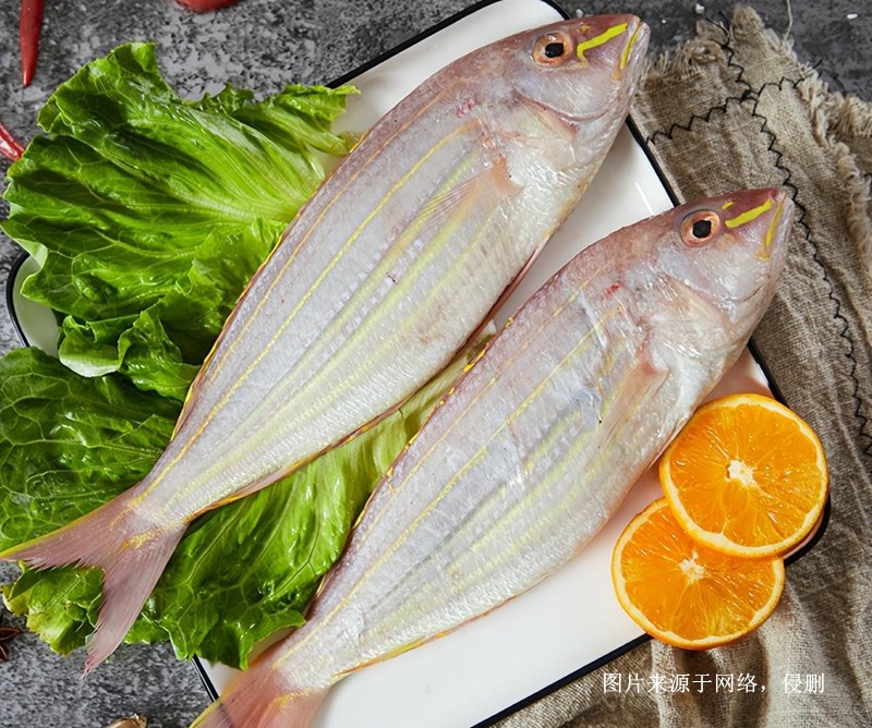 上海進口越南金線魚報關流程 上海進口越南金線魚報關流程