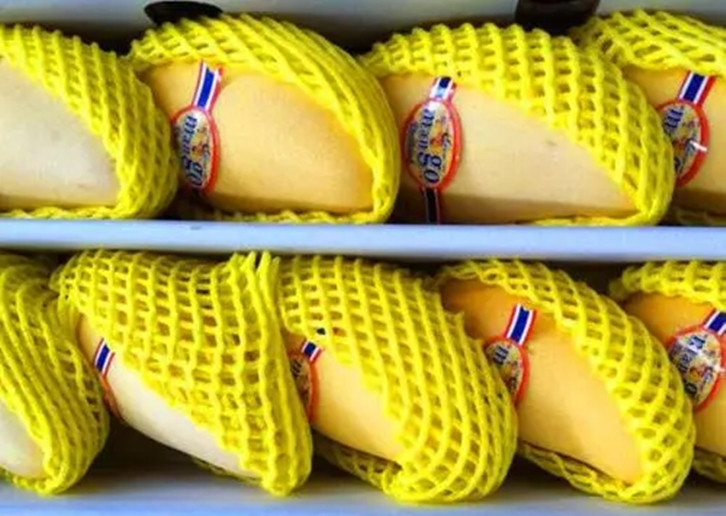 1657875586603233.jpg 廣州進口鮮芒果報關.jpg