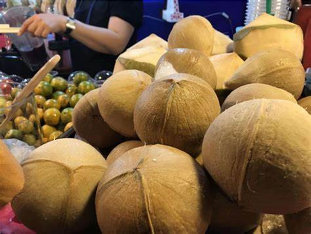 1643100936645904.jpg 椰子進(jìn)口報關(guān)_副本.jpg