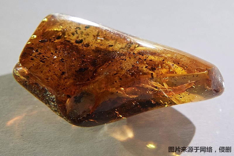 1682589476688981.jpg 琥珀進口報關流程.jpg