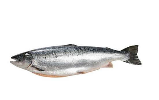 1584413828874851.jpg u=3785885829,2226556585&fm=26&gp=0_副本.jpg