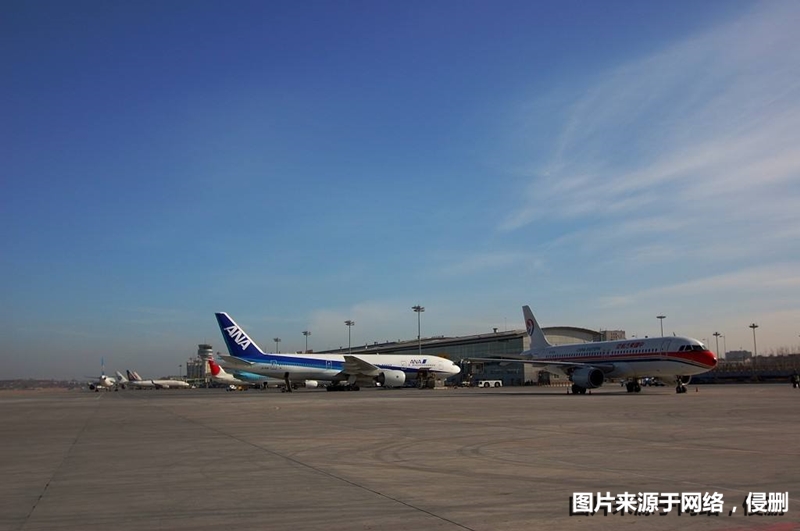 1677057490694865.jpg 凍品進(jìn)口大連機場清關(guān)_副本.jpg