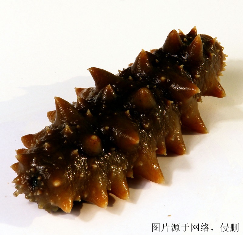 印度尼西亞進口報關(guān)公司哪家好 印度尼西亞進口報關(guān)公司哪家好