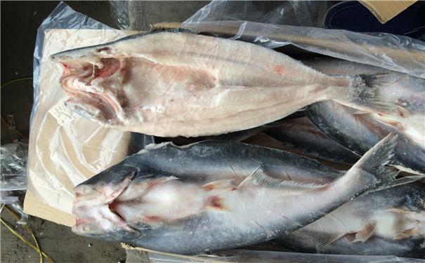 空運海鮮進口報關一般貿(mào)易進口需要注意這些，來看看? 