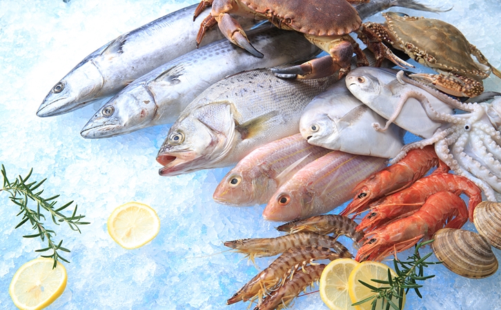 上海水產品進口報關需要提供哪些資料 上海水產品進口報關